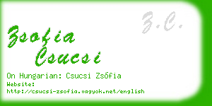 zsofia csucsi business card